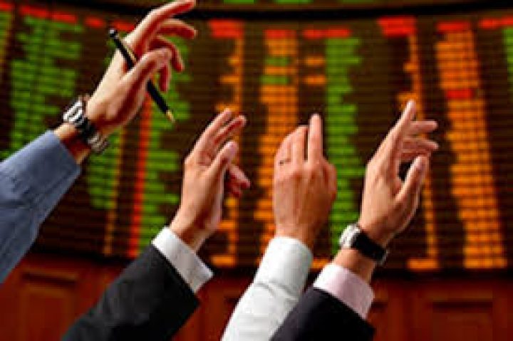 Stock Brokers and Investment Analysis